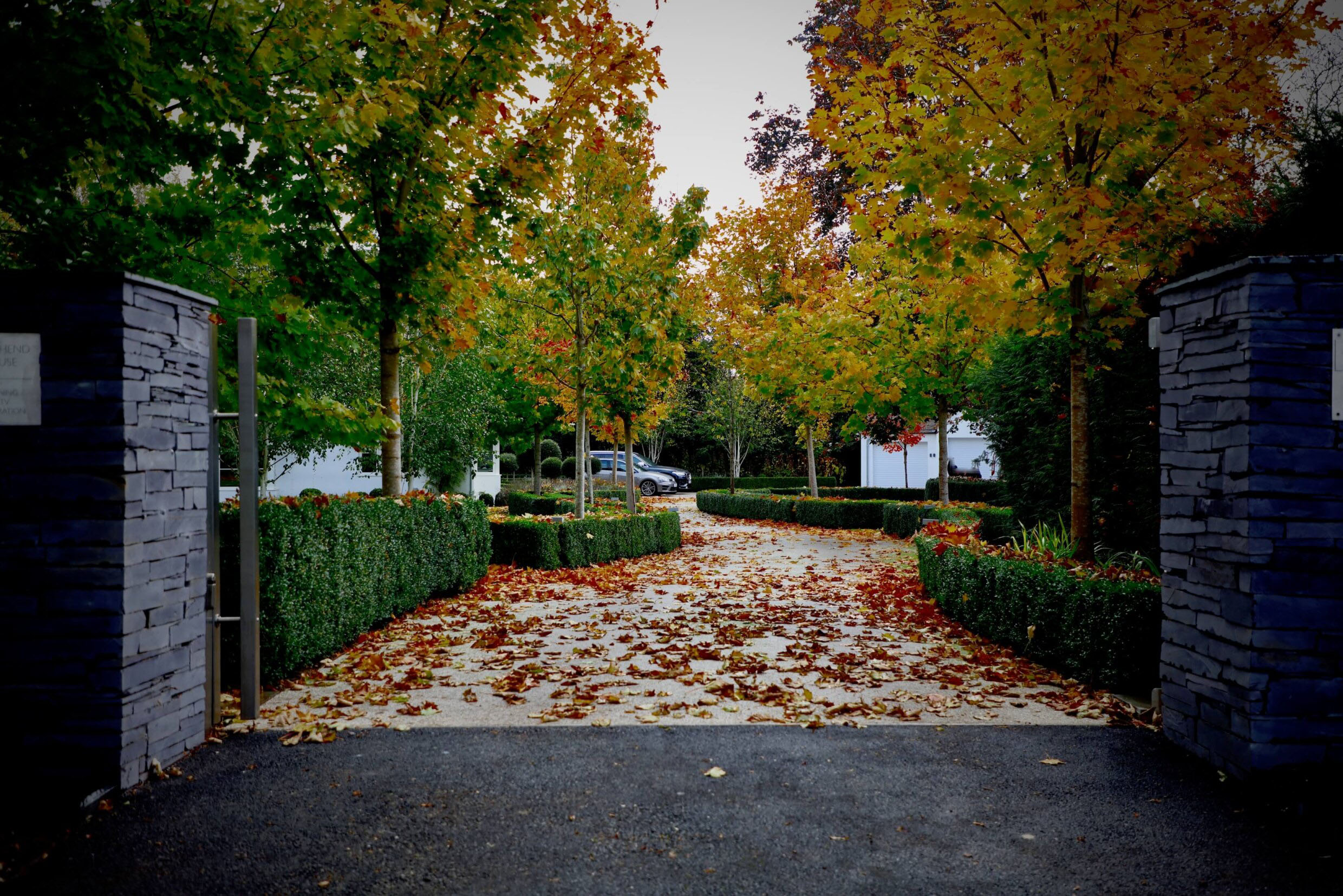 autumn leaves on a drive of a modern garden