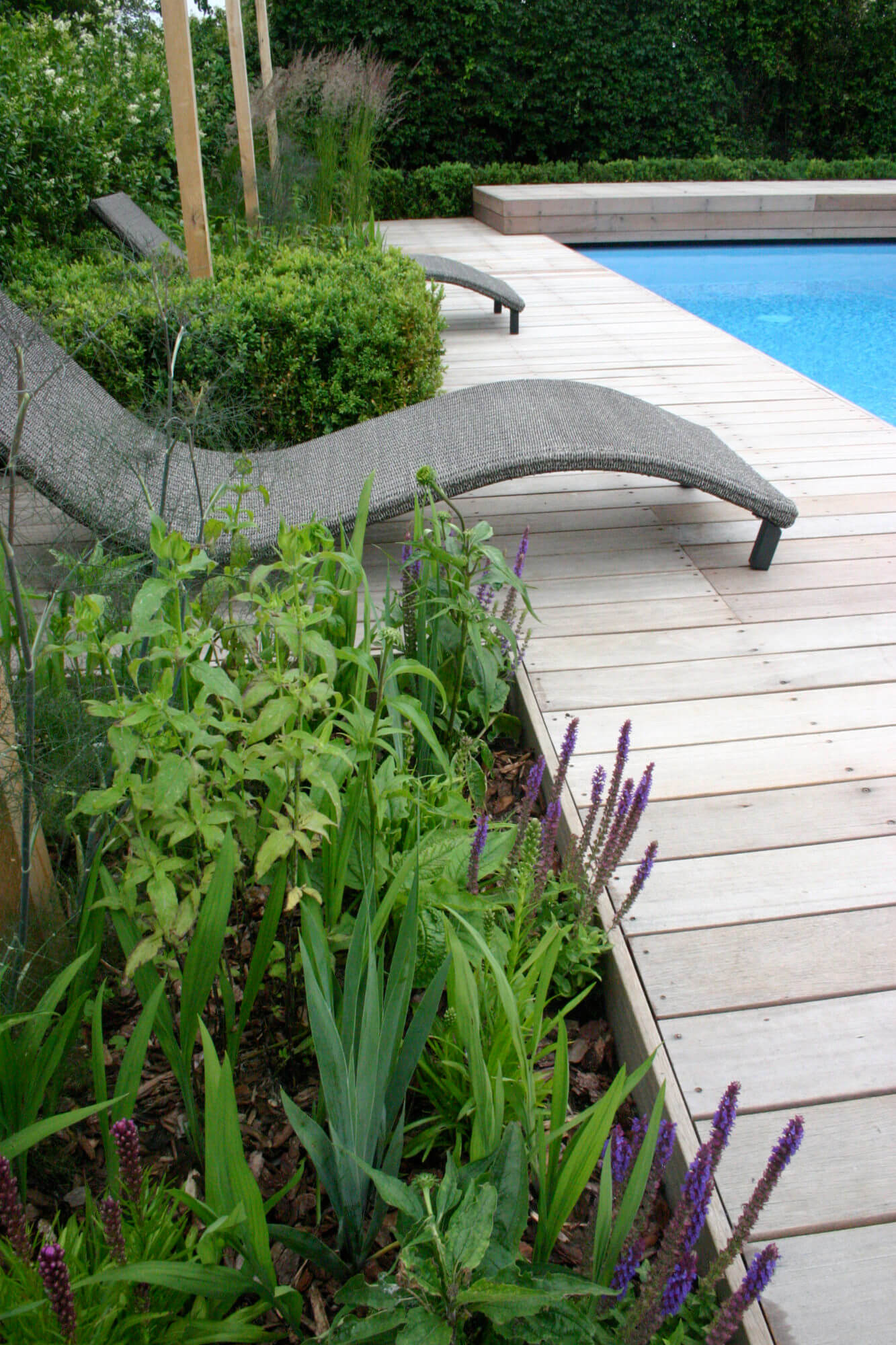 decked swimming pool in aqua blue in a cotswolds style landscape