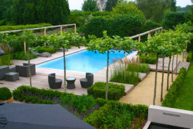 a modern swimming pool bright blue water surrounded by deck and flowers in the Cotswolds by garden designers