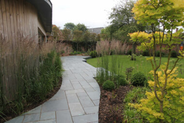 Paved path through garden