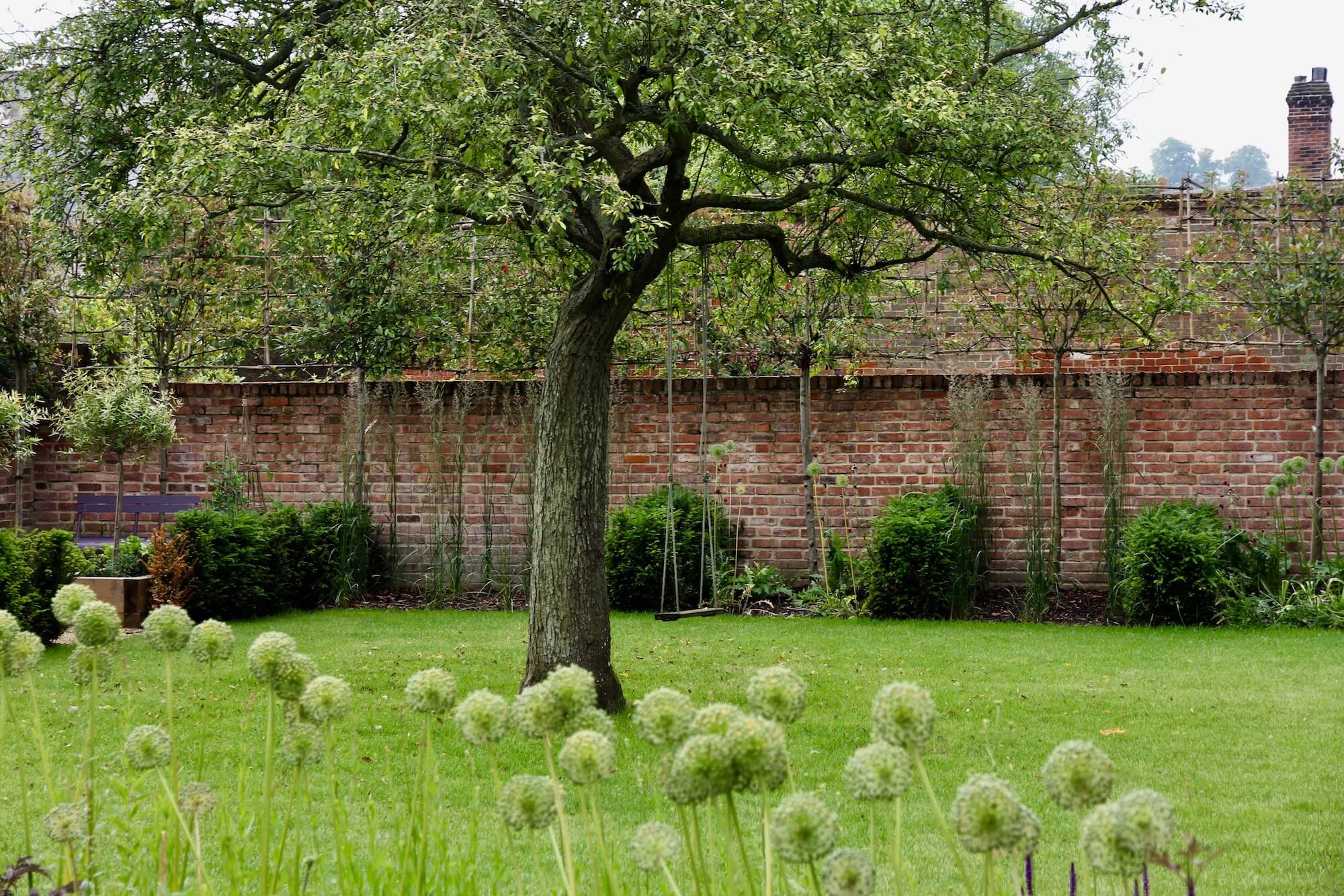 Large tree in the middle of green lawn