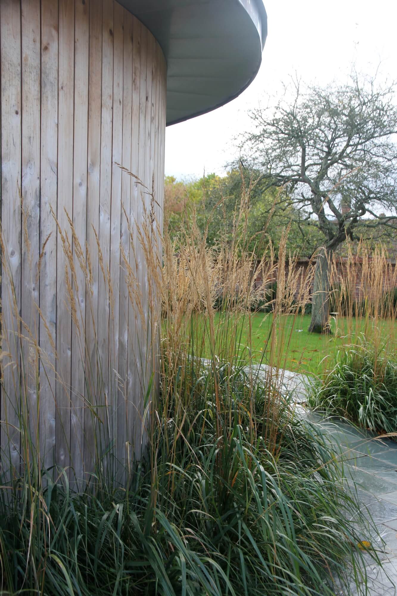 Grasses growing at the edge of wood cladded garden studio