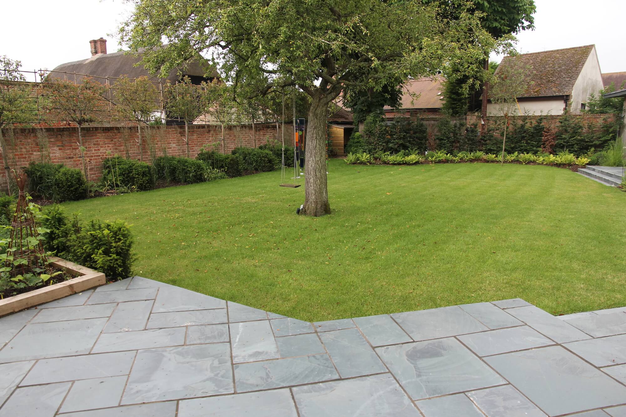 Big tree in the centre of the lawn