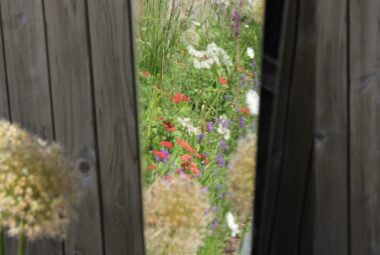 Gap between two big wooden pillars shows an abundance of meadow flowers