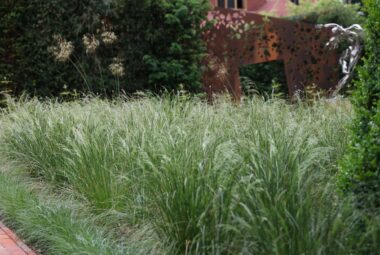 ornamental grasses in landscape construction with sculpture
