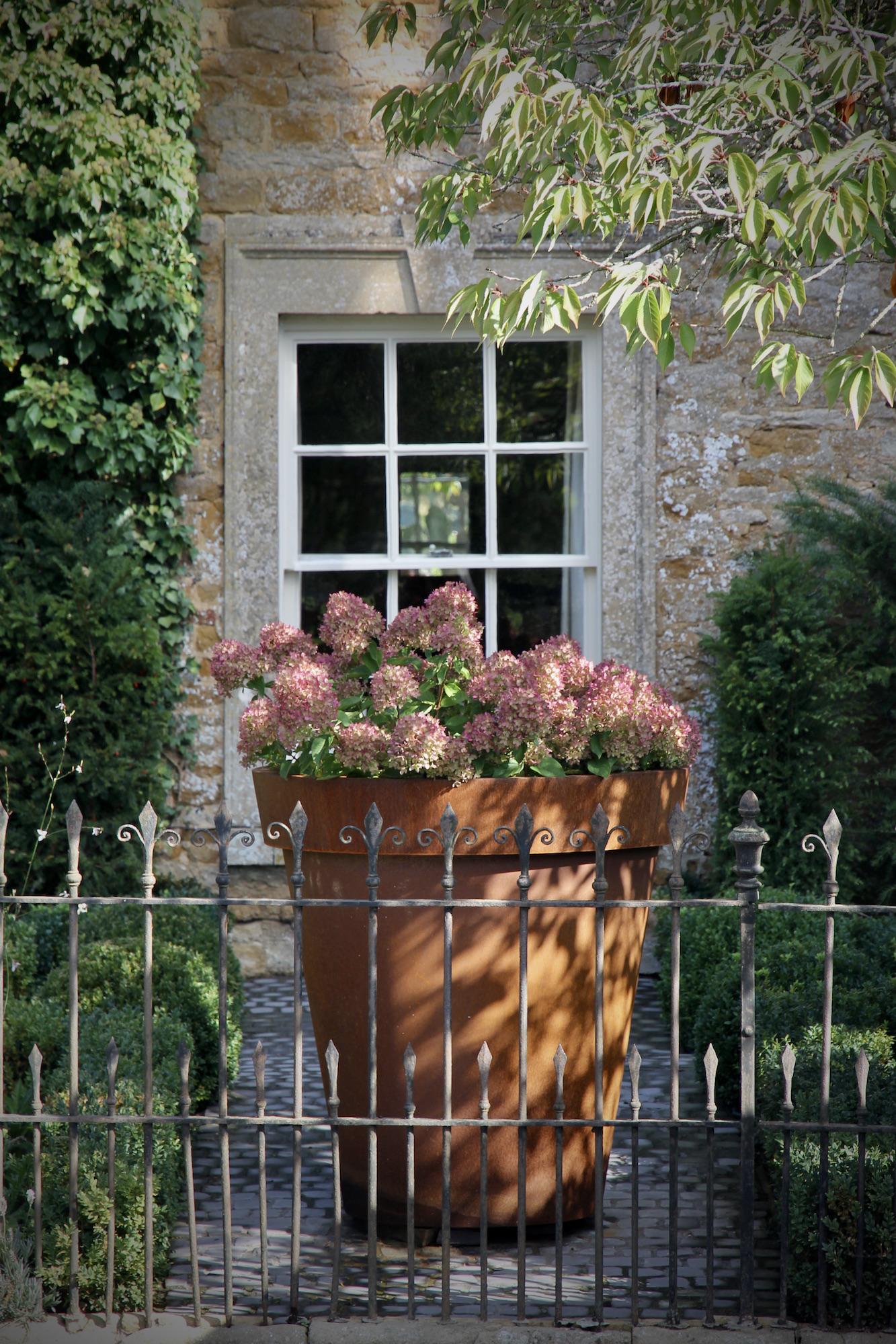 Judges house corten pot filled with Autumnal hydrangea