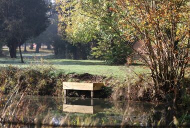 lakeside jetti in autumn