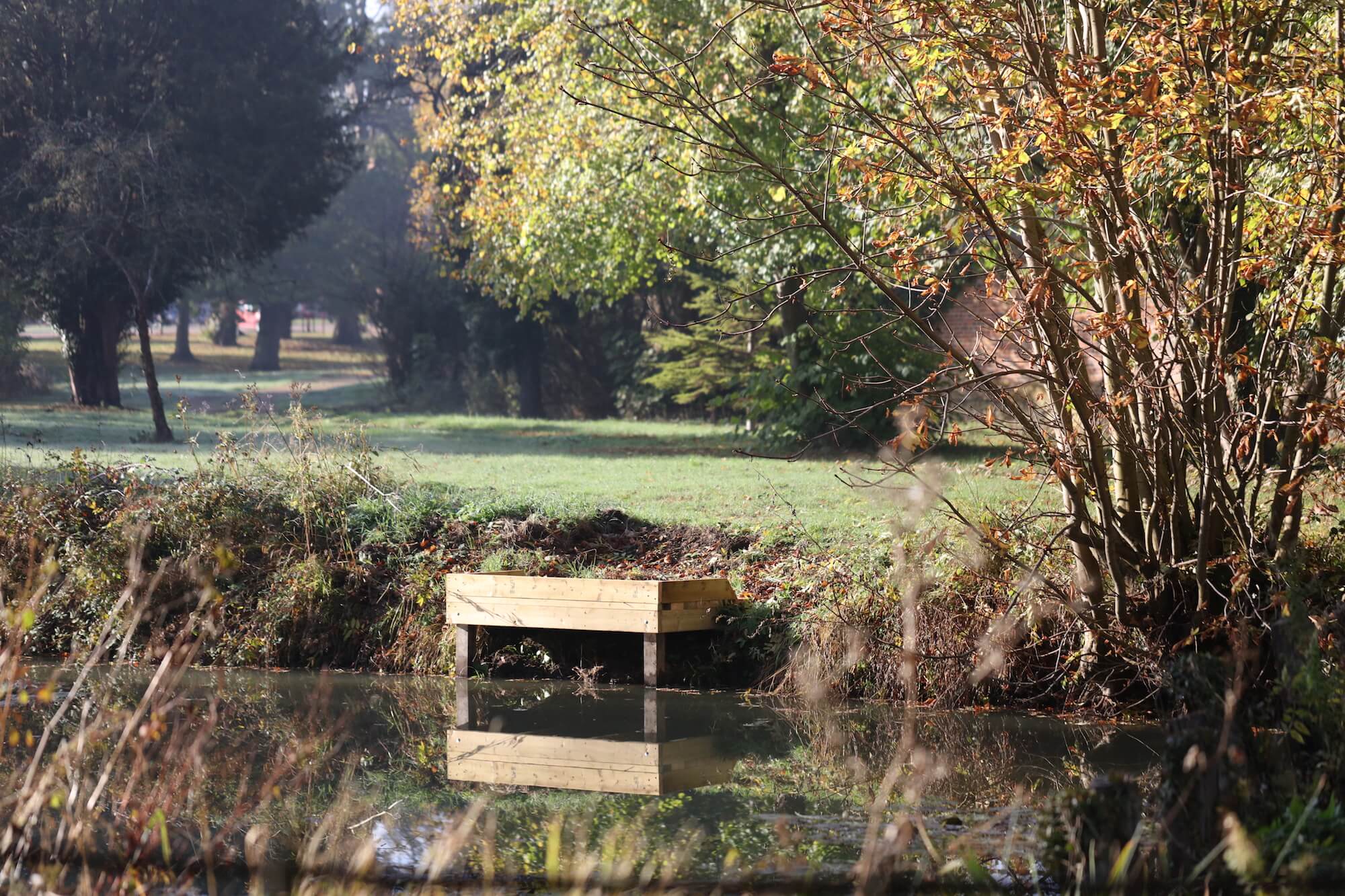 lakeside jetti in autumn