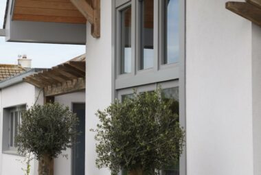 white and grey coastal house with ancient gnarled olive trees in grey square pots