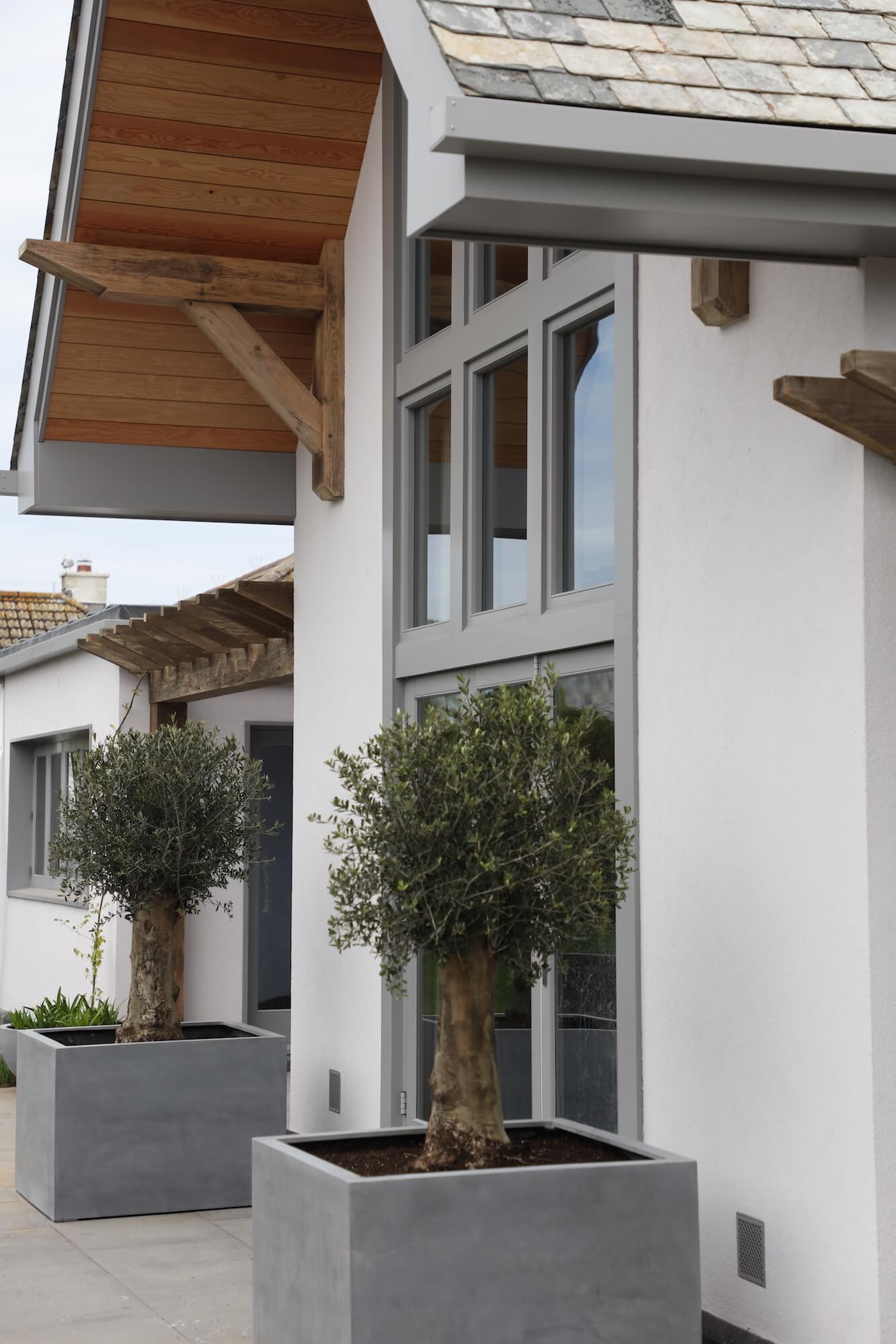 white and grey coastal house with ancient gnarled olive trees in grey square pots