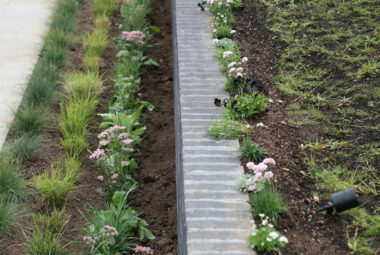 coastal planting along a black brick wall