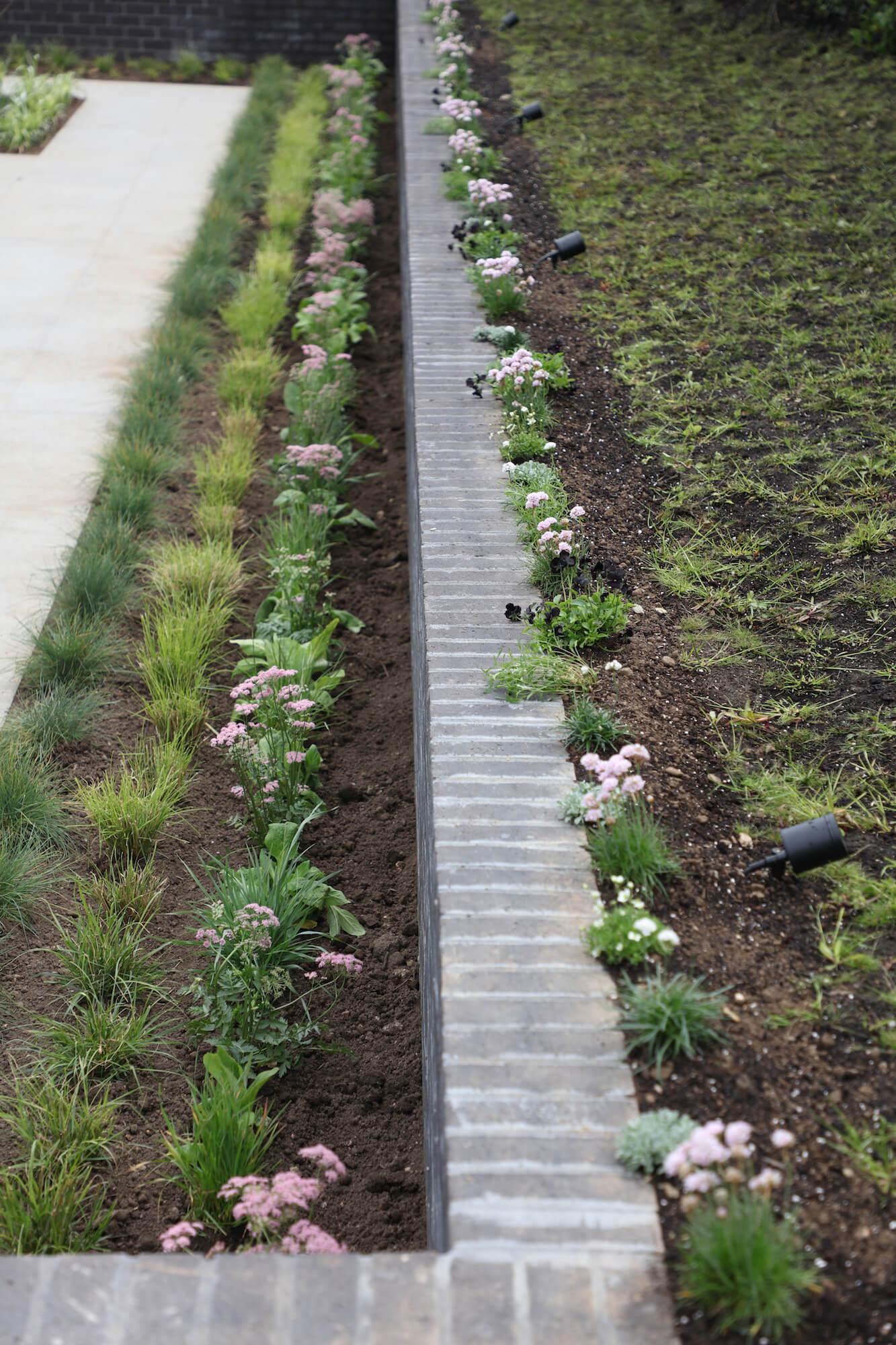 coastal planting along a black brick wall