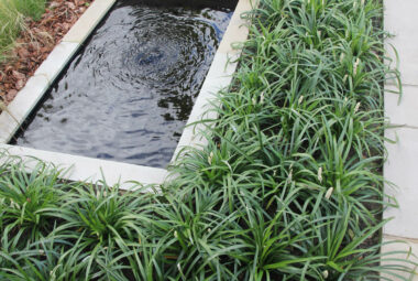 water pool in a townhouse garden