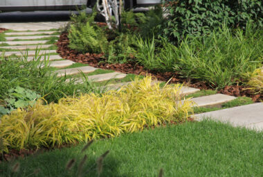 townhouse garden path with planting, moss and grasses