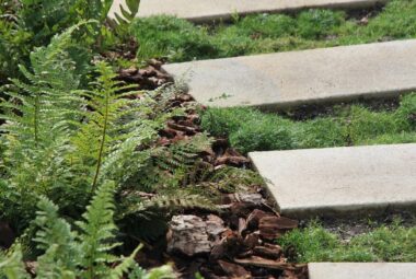 townhouse garden path with white stone and moss growing between