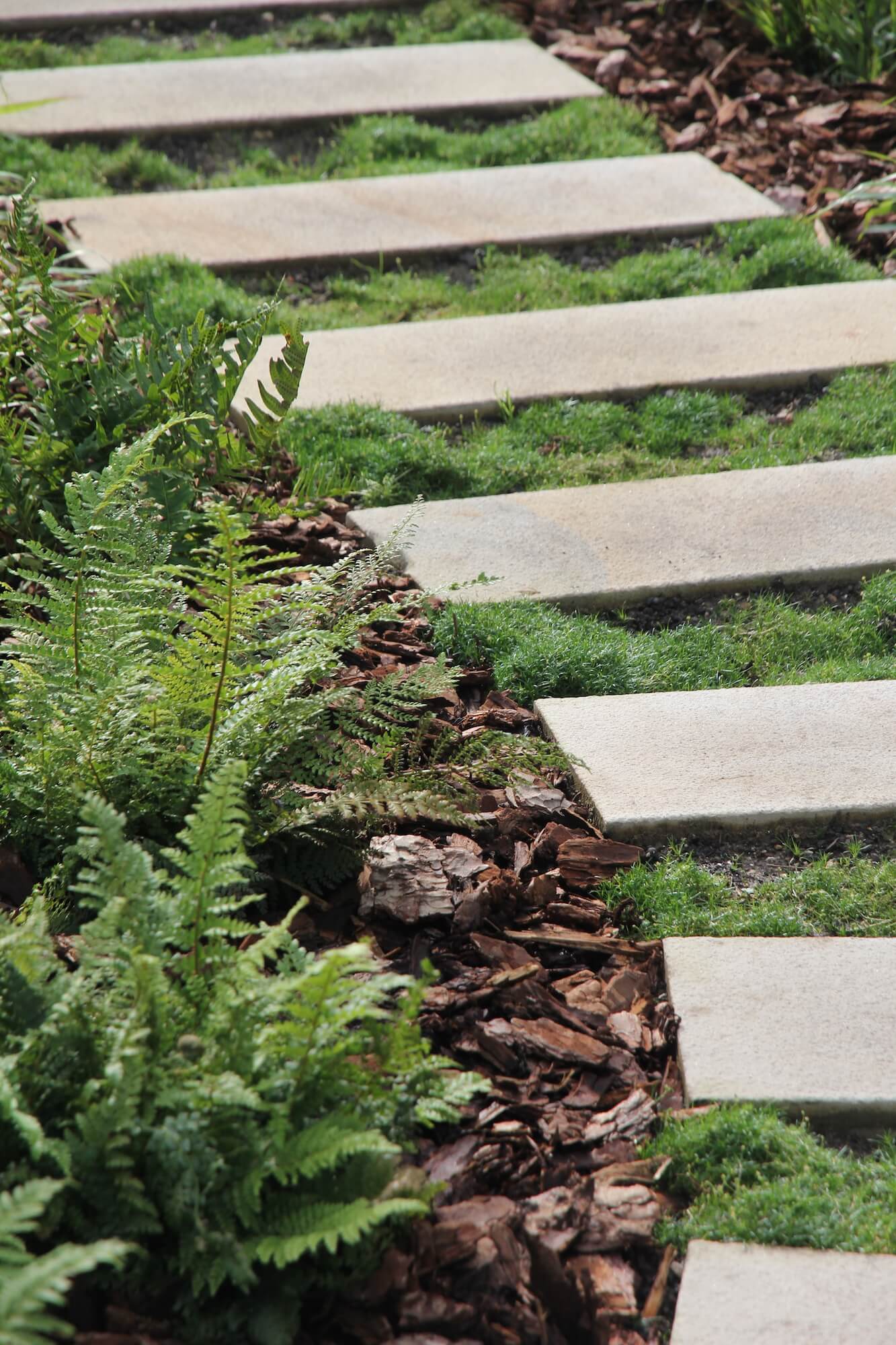 townhouse garden path with white stone and moss growing between