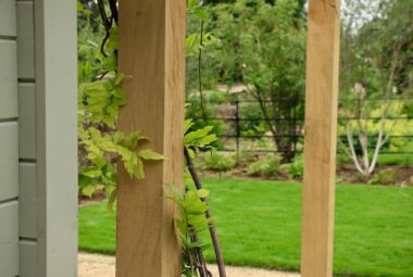 Wisteria trained up the side of a wooden pergola