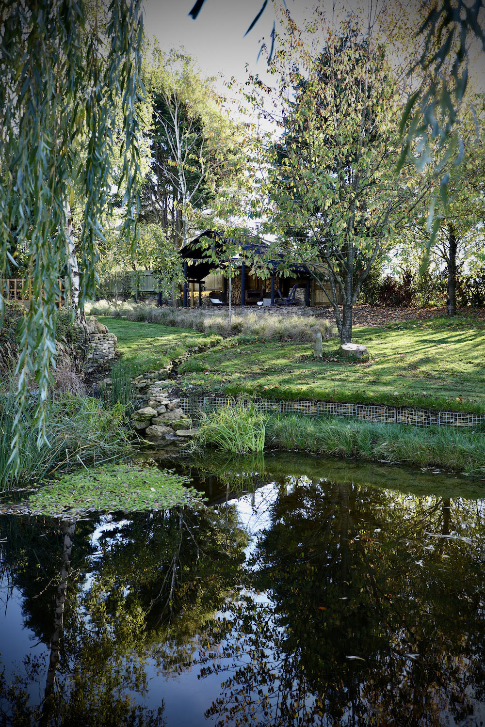 View of wildlife lake with weeping willow