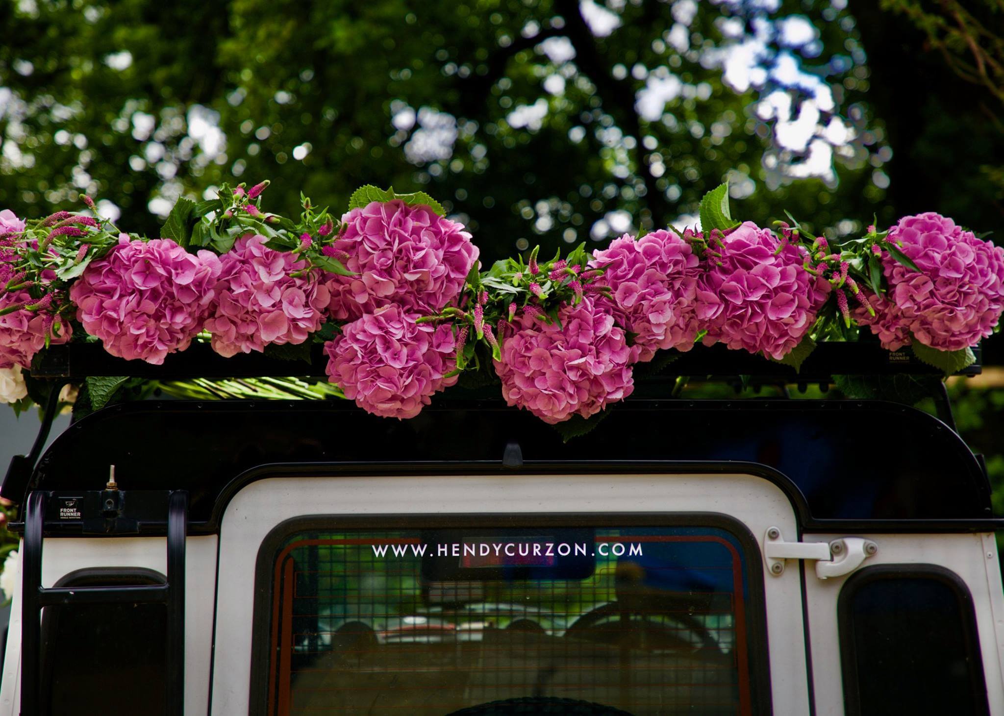 Hydrangea on the roof of hendy curzon land rover discovery