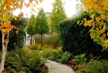 townhouse garden autumn colours, trees and leaves in burford garden in oxfordshire