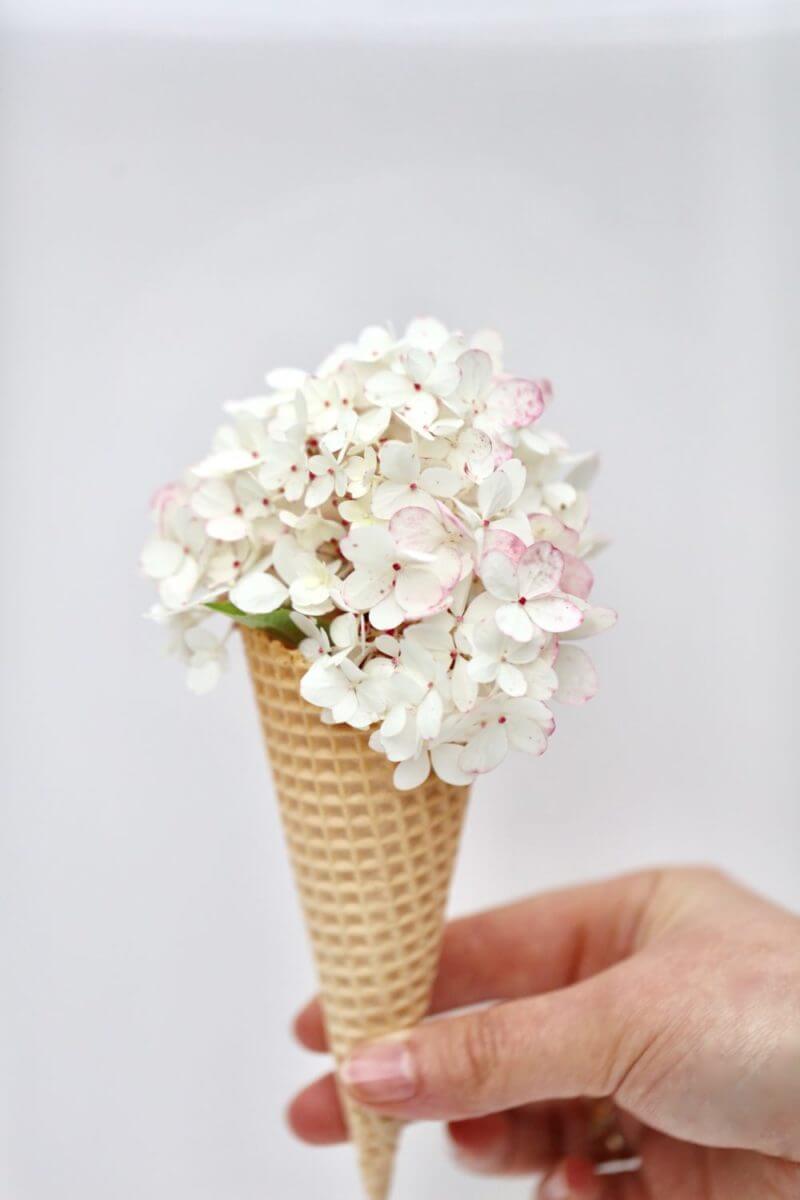 Floral couture white Hydrangea from seasonal gardens