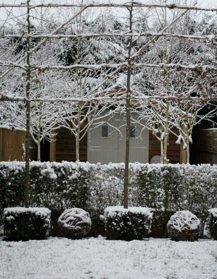 Winter landscape in seasonal gardens