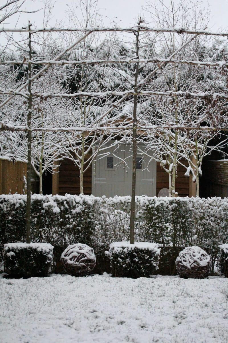 Winter landscape in seasonal gardens