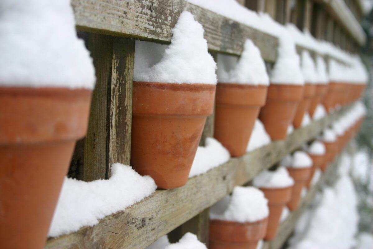 Winter snow plant pots in seasonal gardens