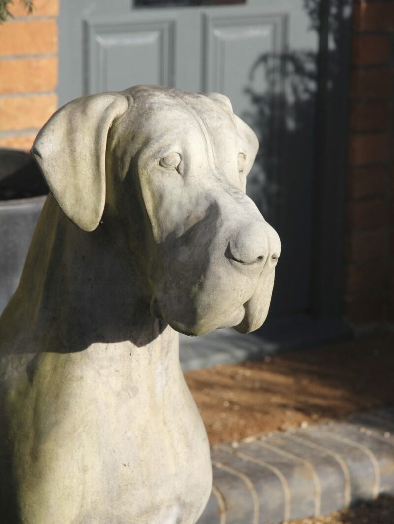 Dog sculpture at front of house