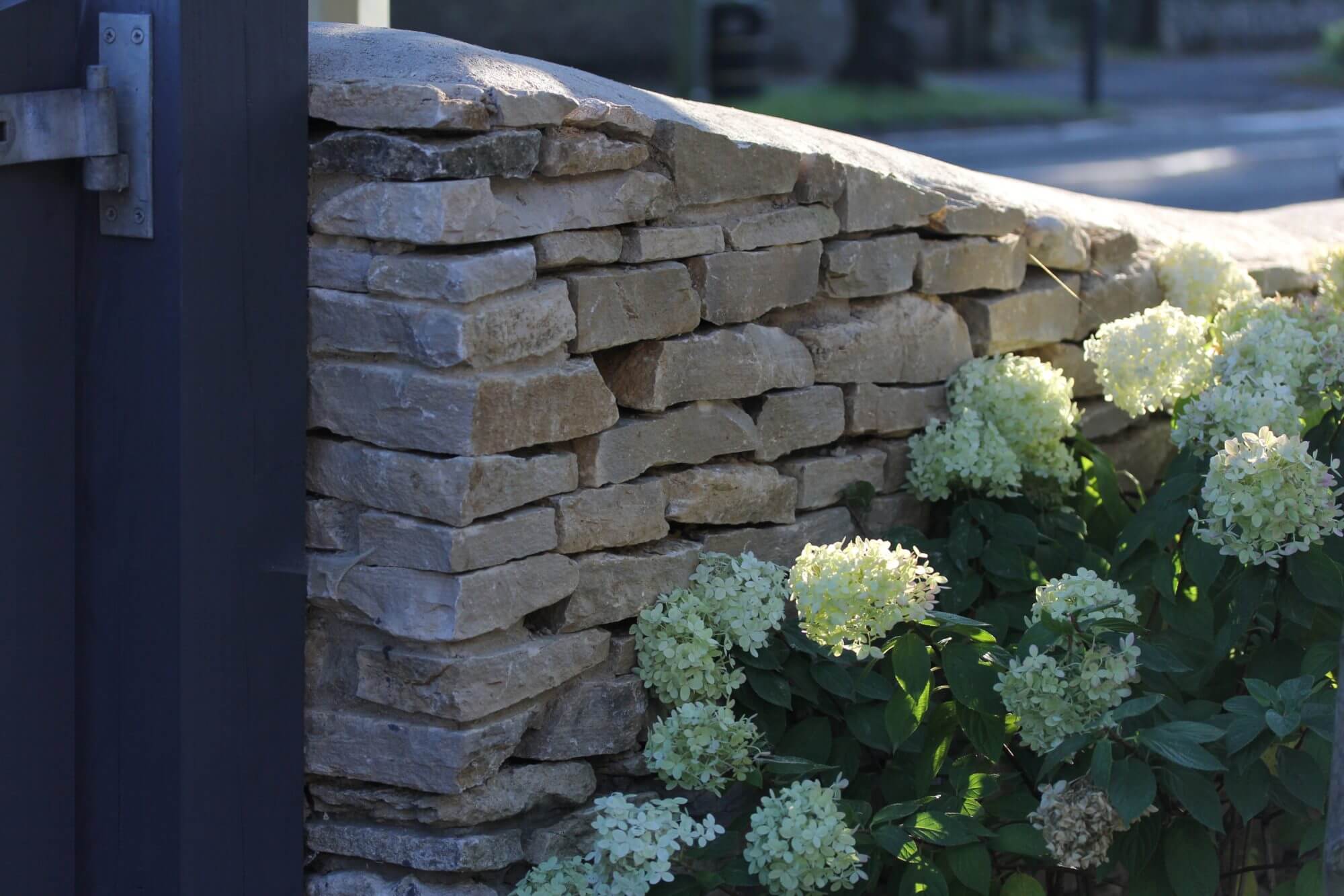 Corner of stone wall next to gates and flowering hydrangea