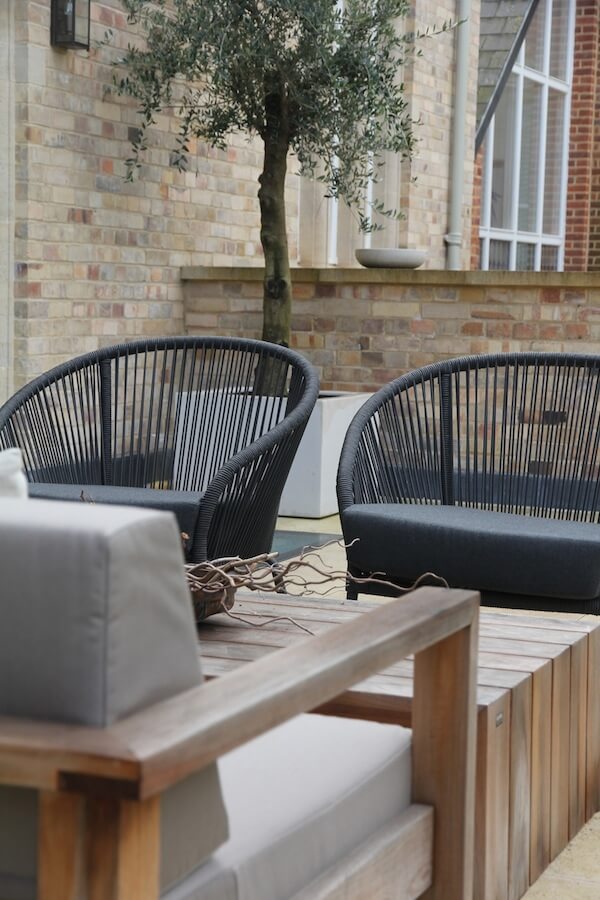 two black tub chairs in garden with olive tree