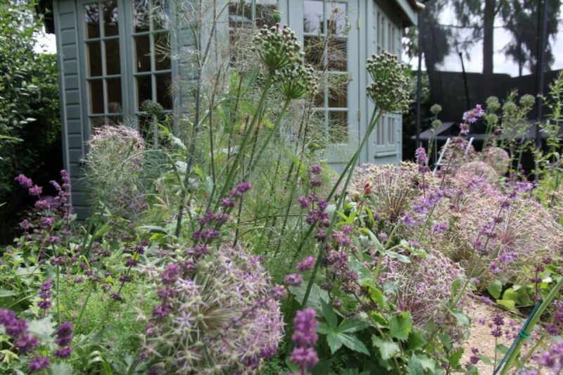 Wild cut flower garden with summer house