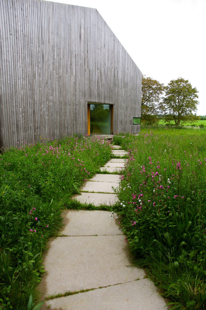 Wild prairie garden with path in front of house