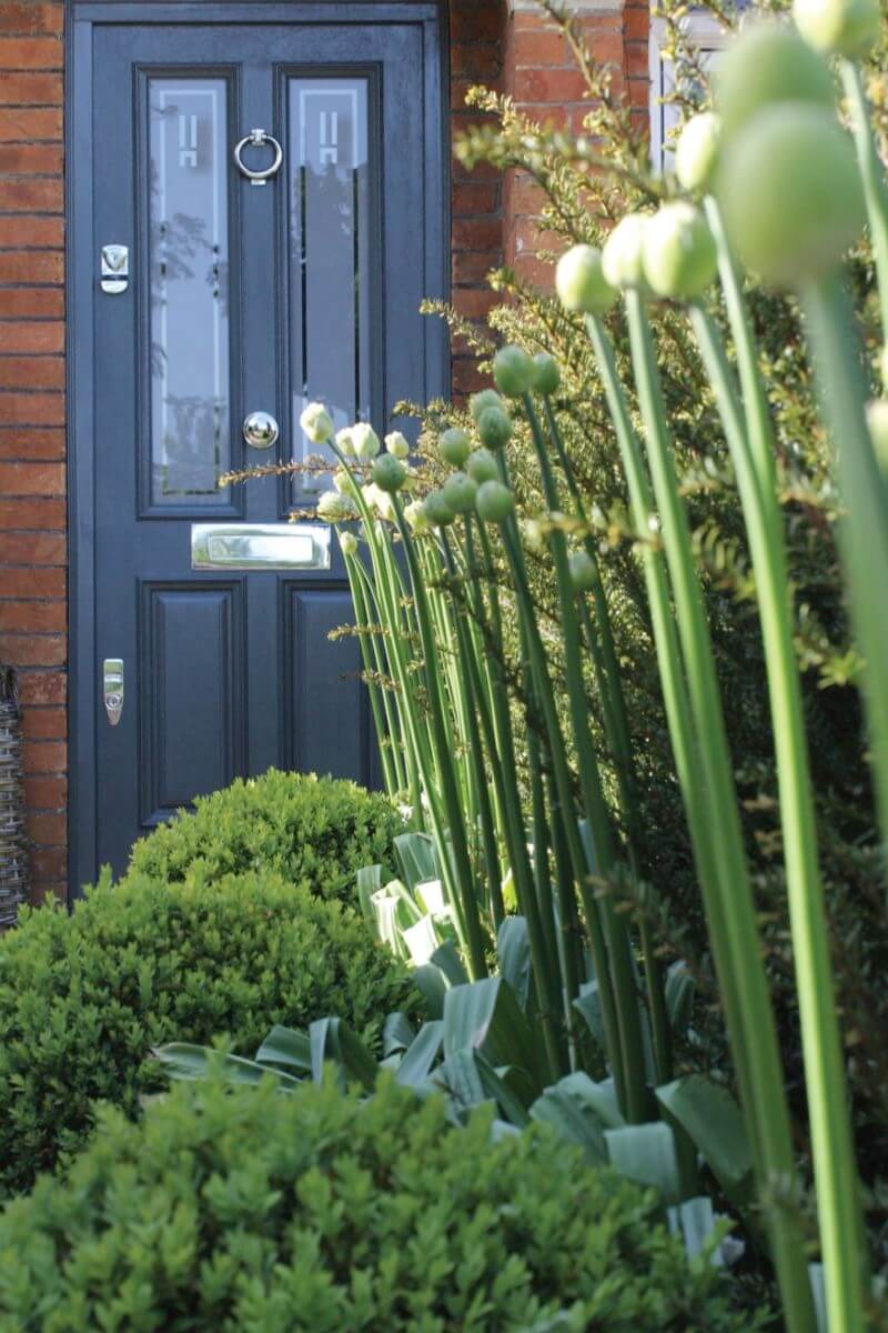 Farrow & Ball Downpipe coloured door at front of house with alliums before bloom