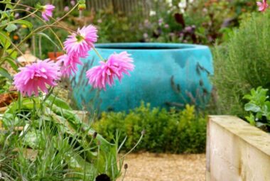 Blue water bowl framed by plants in cut flower garden