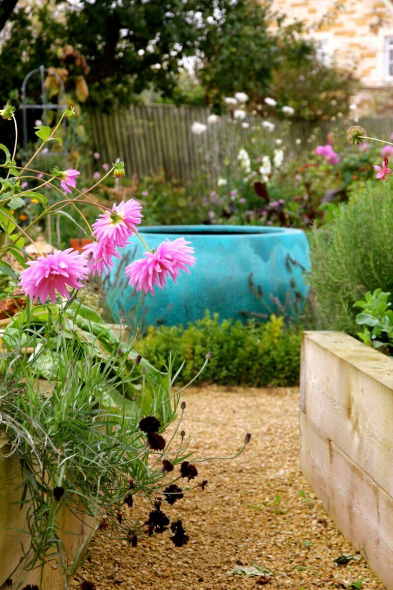 Blue water bowl framed by plants in cut flower garden