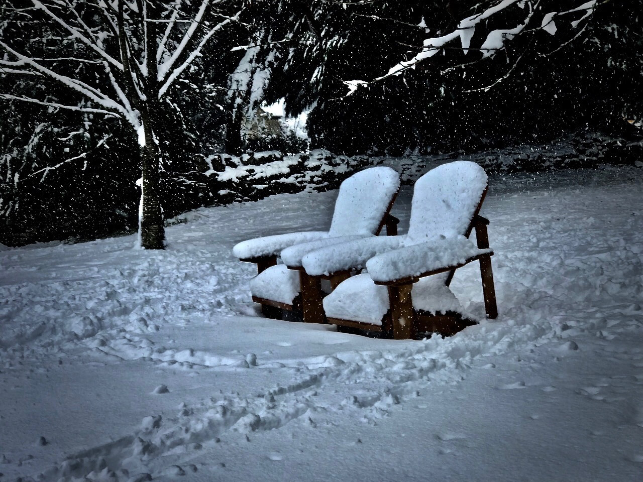 Adirondack chairs covered in snow