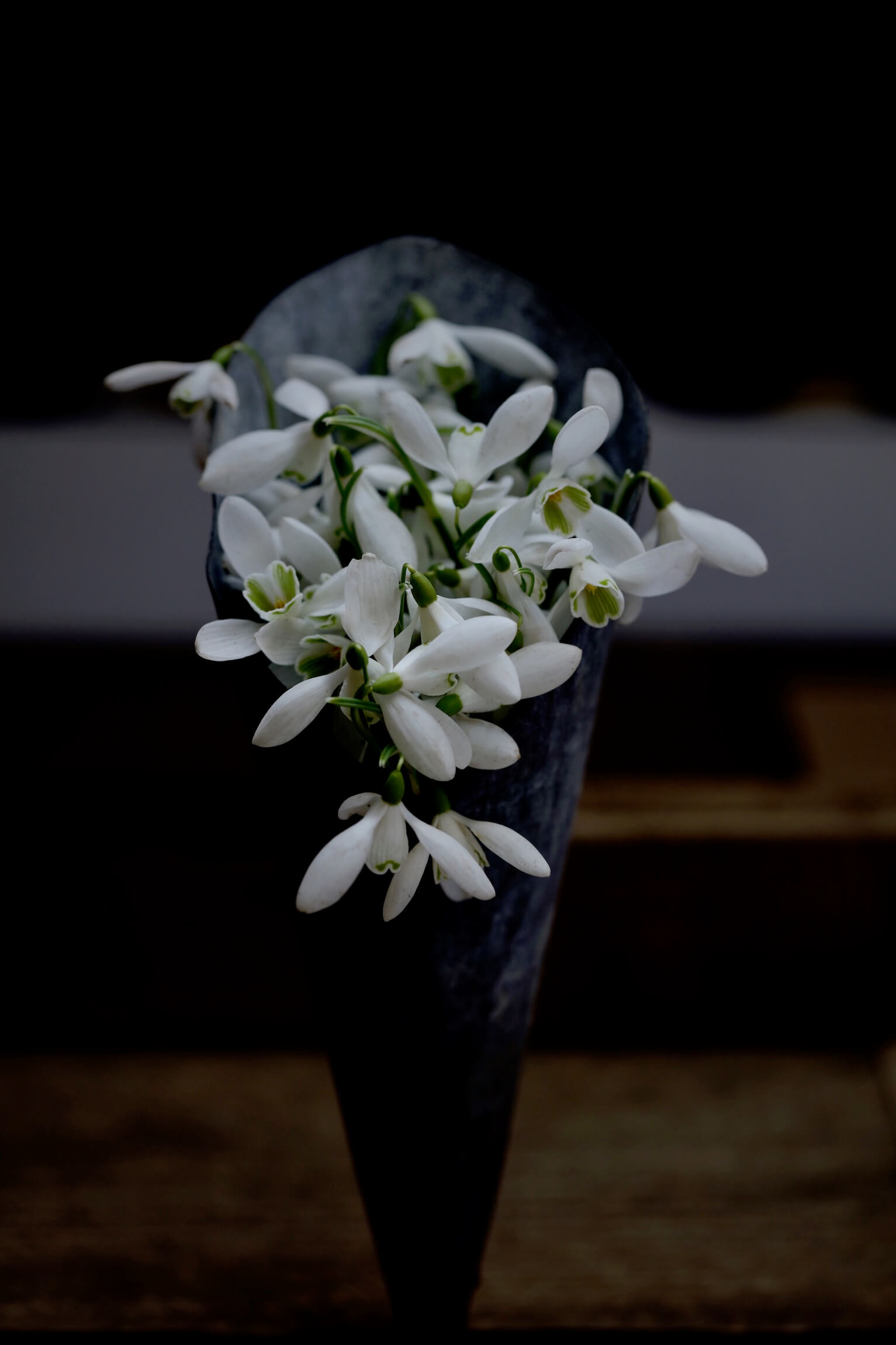 cut snowdrop flowers in a zinc cone