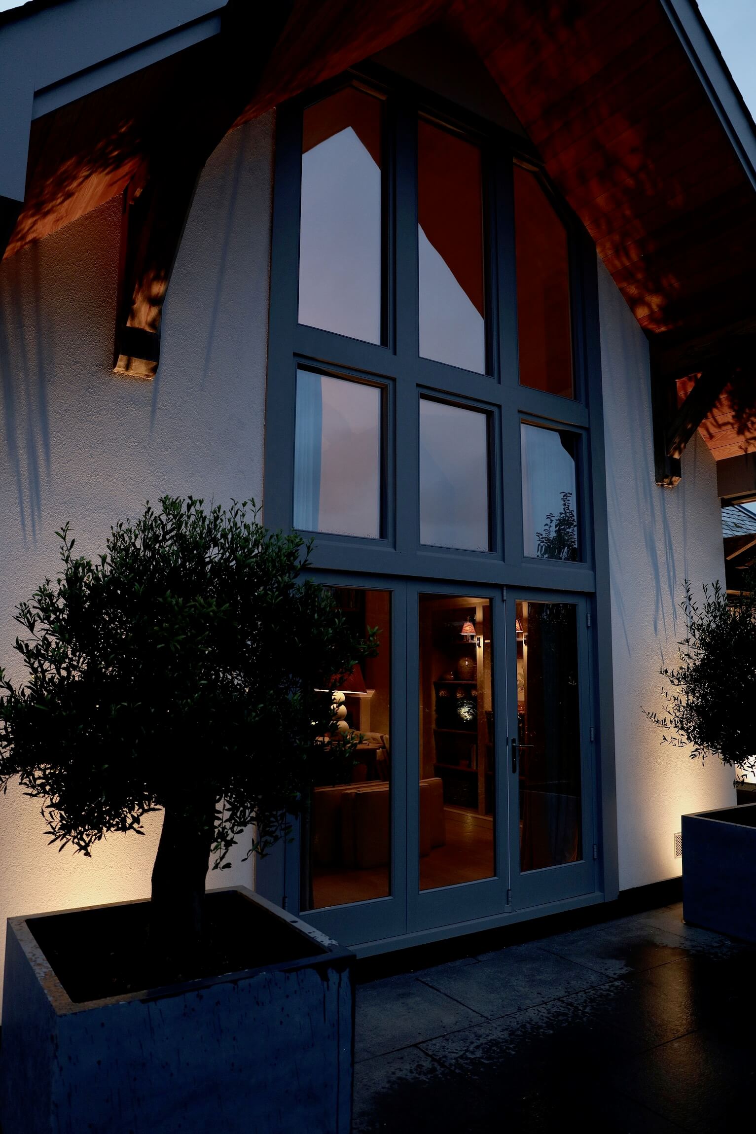 cornwall garden at night with lighting and olive trees