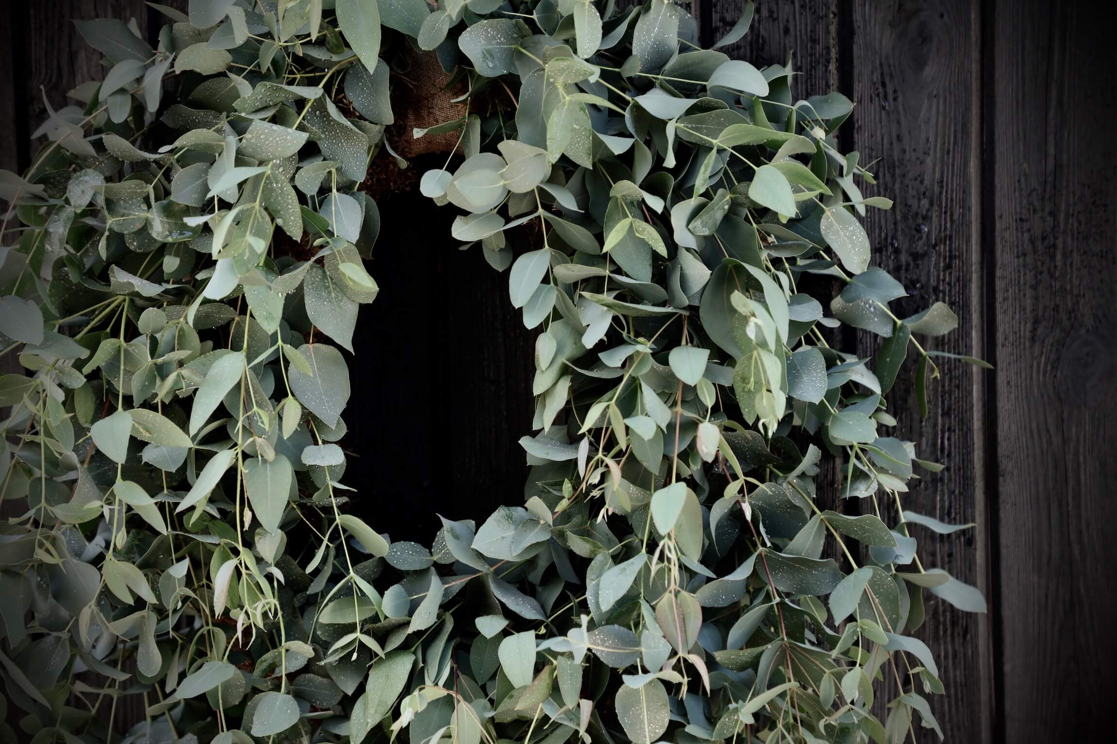 eucalyptus wreath with de drops