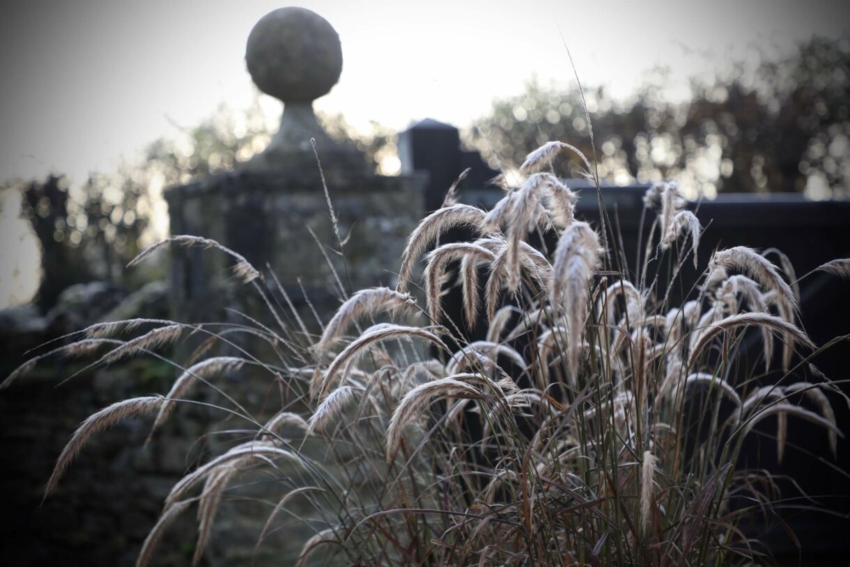 forty grasses and gate pillars