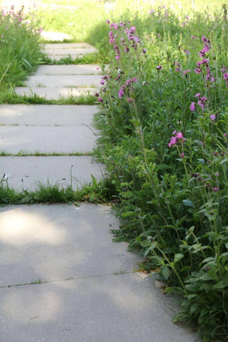 modern prairie pathway