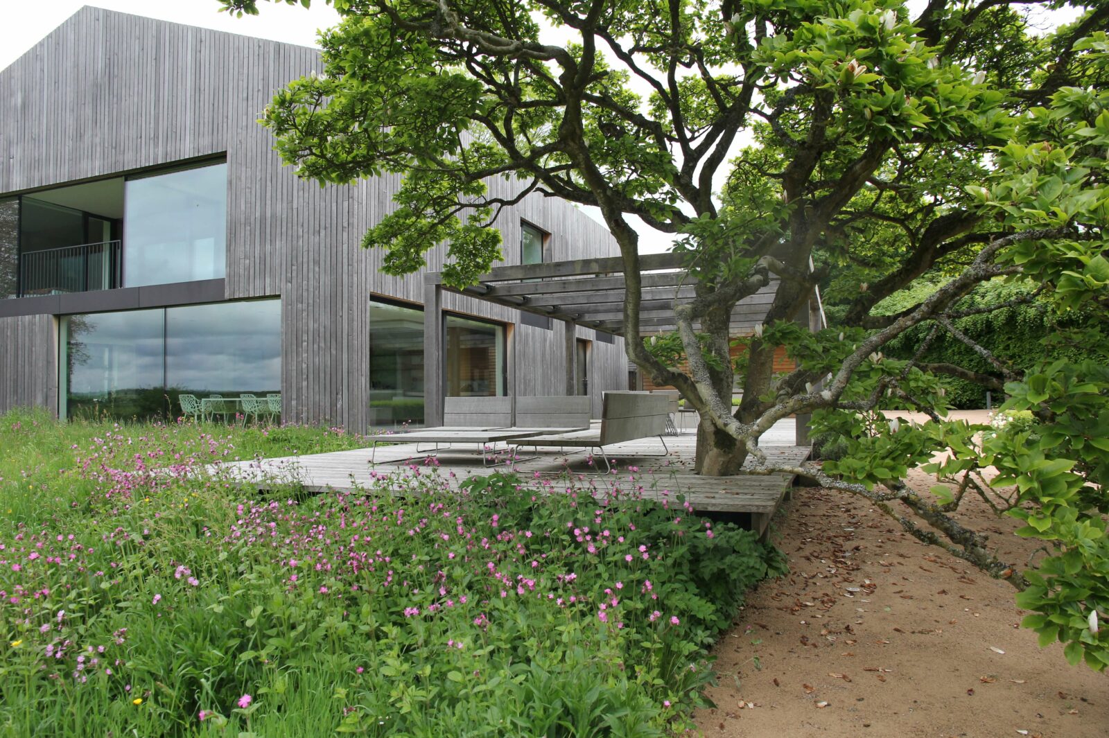 modern barn grand design with ancient magnolia growing out of deck