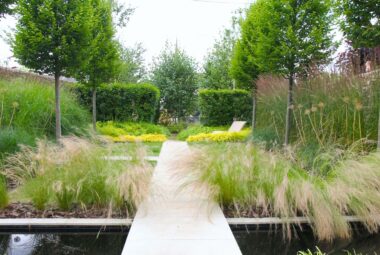 a townhouse garden in Oxford with green planting and a water feature