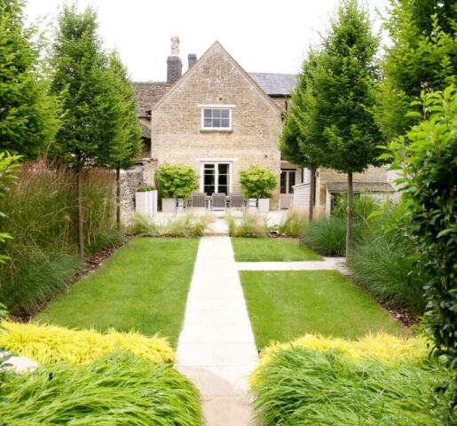 a modern garden design layout of green trees and hedges