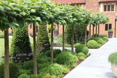 a oxfordshire garden with lush green roof pleached trees and topiary