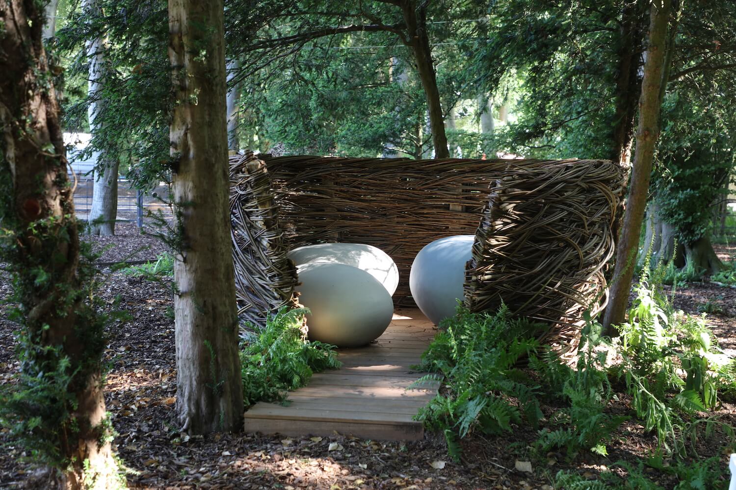 a giant nest with clay eggs