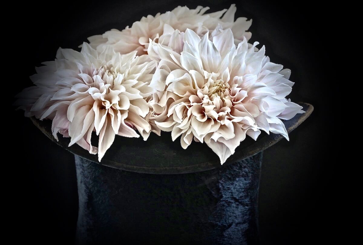 a top hat with Dahlias cafe au last growing out of it