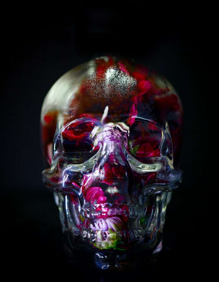 a glass skull filled with flowers on a black background