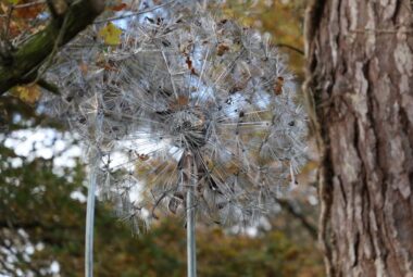 garden sculpture in metal of dandelions with fallen autumn leaves